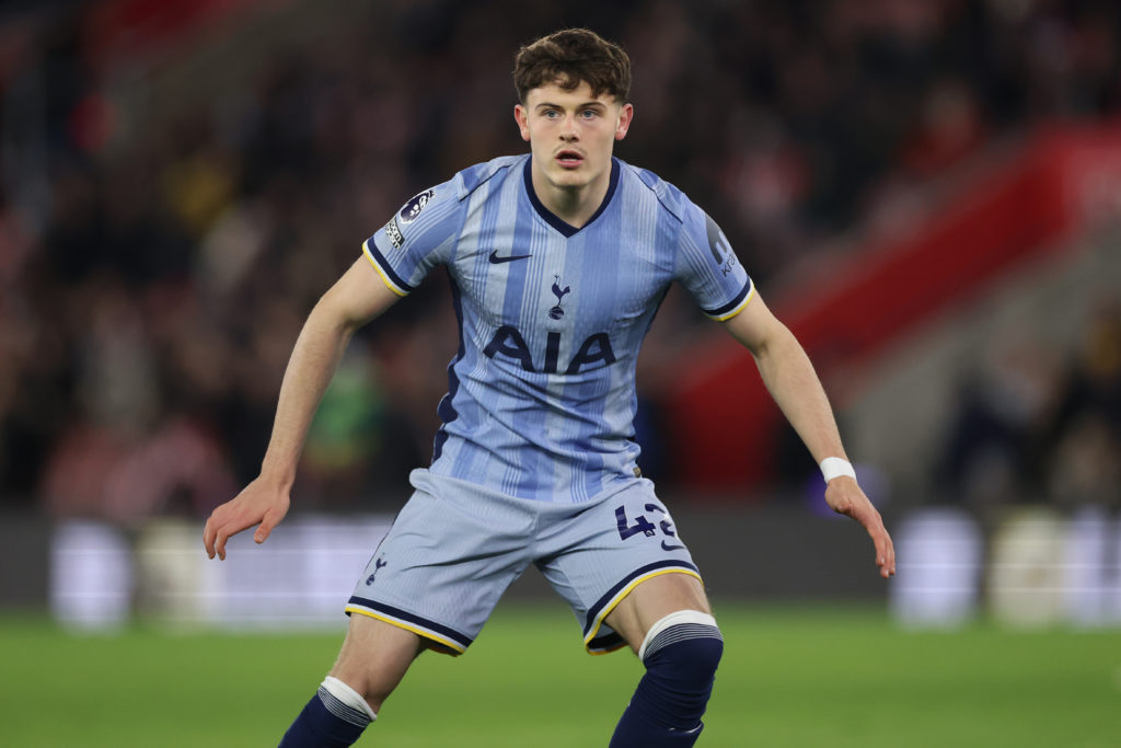 Southampton FC v Tottenham Hotspur FC - Premier League