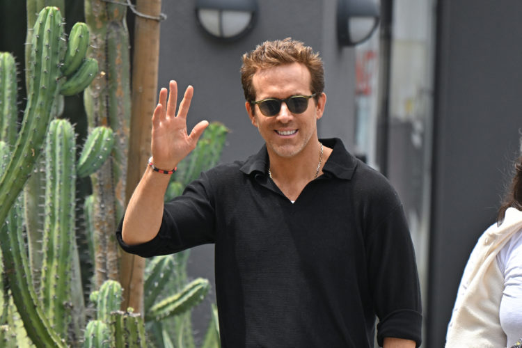 Photo by PG/Bauer-Griffin/GC Images