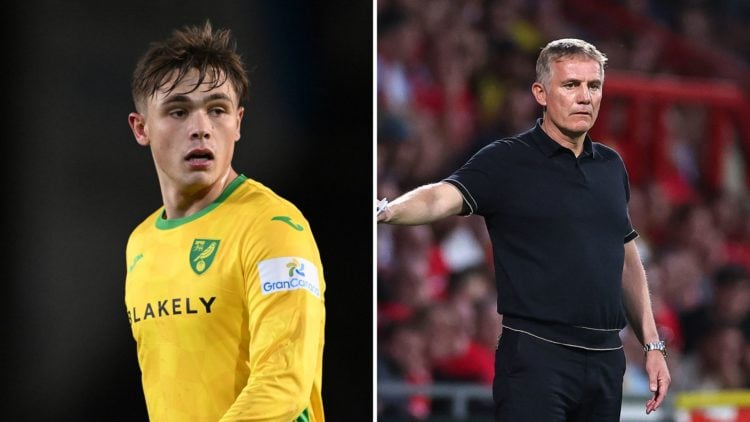 Split Image of Callum Doyle of Norwich City looks on during the Sky Bet Championship match between Portsmouth FC and Norwich City, Phil Parkinson t...